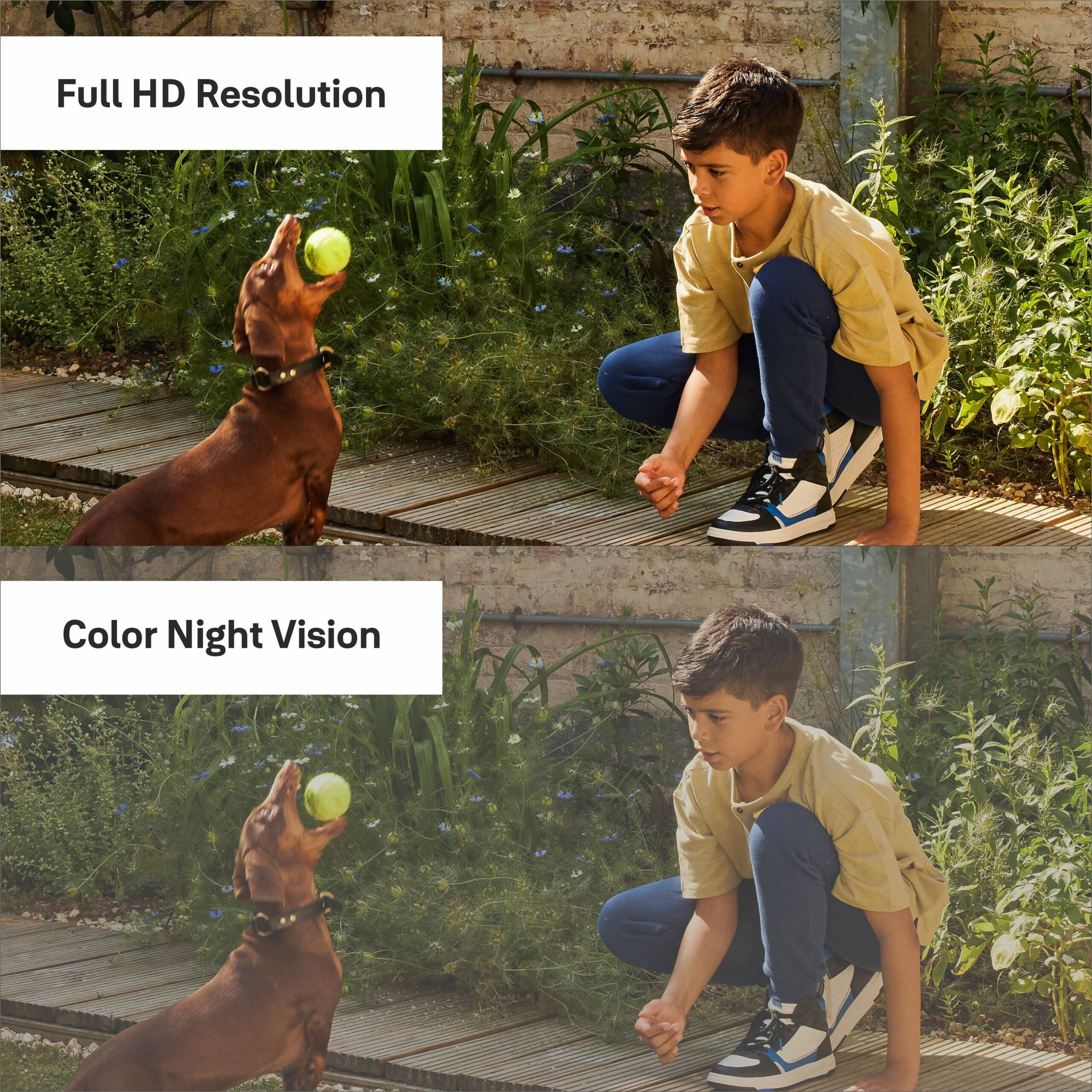 Yale Smart Outdoor Camera 1080p FHD | Motion Trigger | 2-way Audio | Color Night vision | Spotlight | Solar Charger (Optional) | Works with Yale home App - Image 2